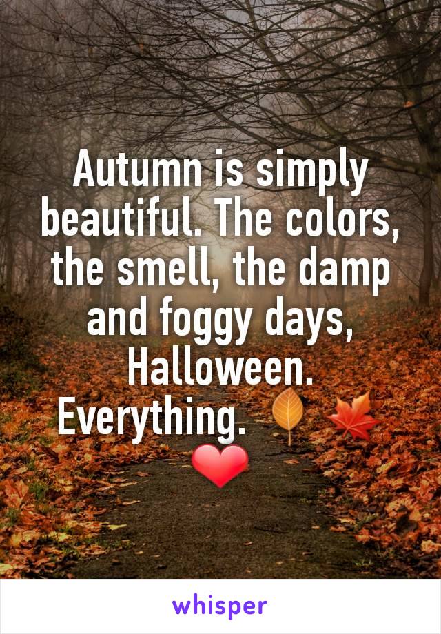 Autumn is simply beautiful. The colors, the smell, the damp and foggy days, Halloween. Everything. 🍂🍁❤️