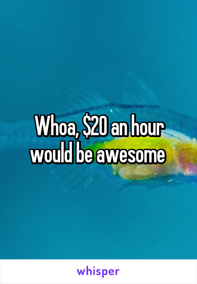 Whoa, $20 an hour would be awesome 