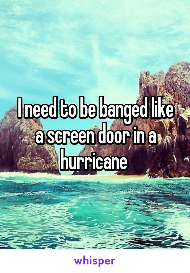 I need to be banged like a screen door in a hurricane 