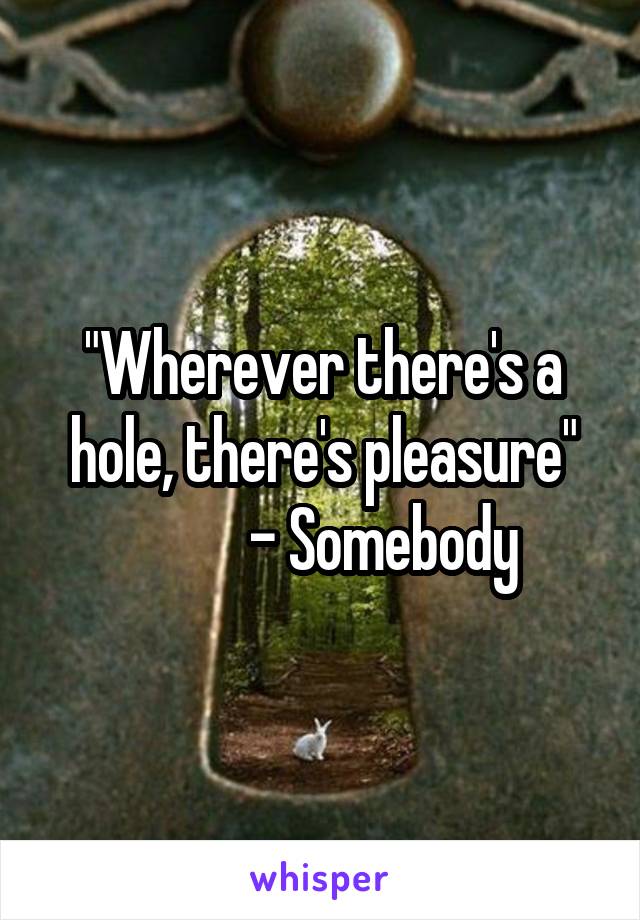 "Wherever there's a hole, there's pleasure"
          - Somebody