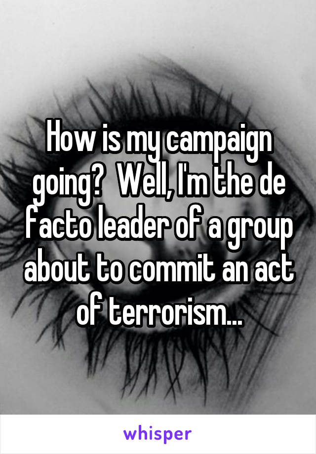 How is my campaign going?  Well, I'm the de facto leader of a group about to commit an act of terrorism...