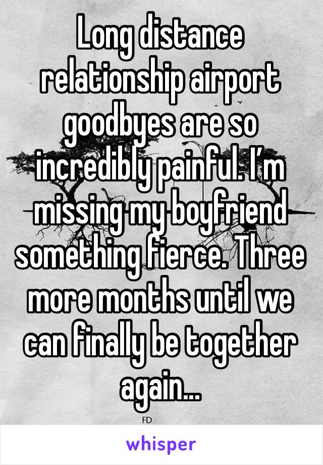 Long distance relationship airport goodbyes are so incredibly painful. I’m missing my boyfriend something fierce. Three more months until we can finally be together again...