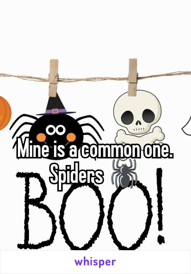 Mine is a common one. Spiders 🕷️