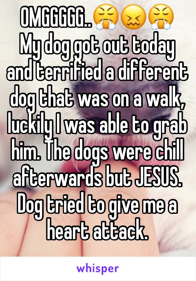 OMGGGGG..😤😖😤
My dog got out today and terrified a different dog that was on a walk, luckily I was able to grab him. The dogs were chill afterwards but JESUS. Dog tried to give me a heart attack.  

