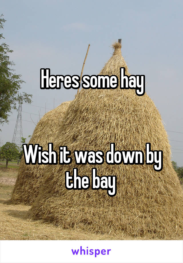 Heres some hay


Wish it was down by the bay 
