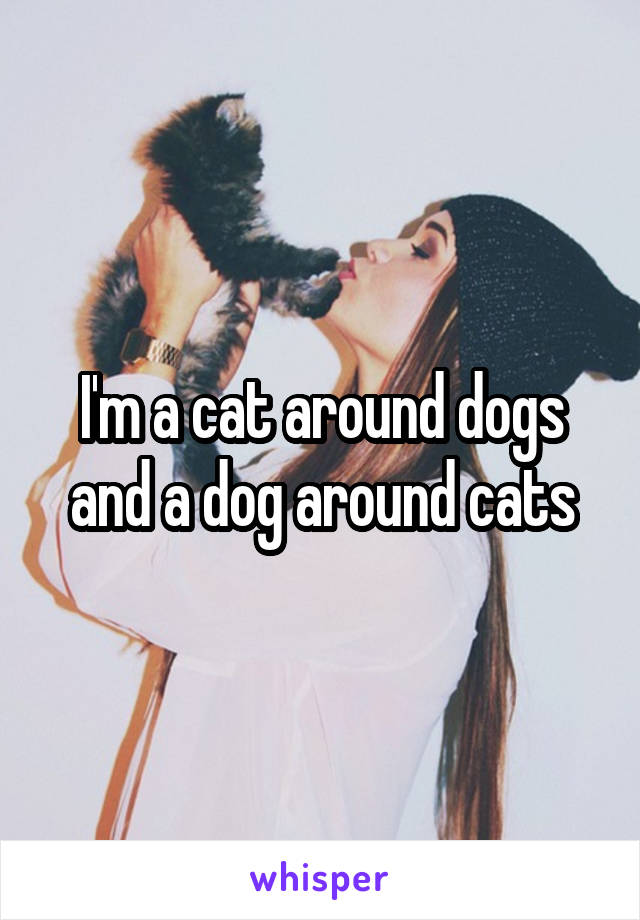I'm a cat around dogs and a dog around cats