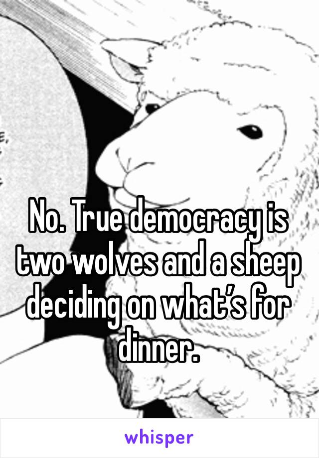 No. True democracy is two wolves and a sheep deciding on what’s for dinner. 