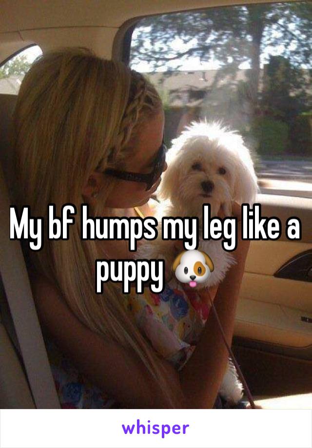 My bf humps my leg like a puppy 🐶 