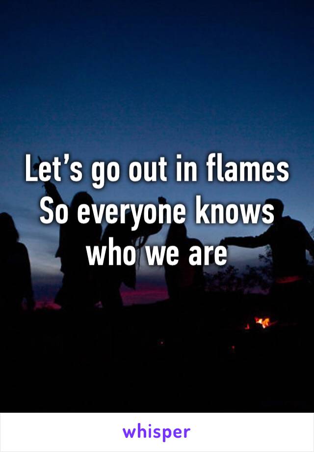 Let’s go out in flames
So everyone knows who we are