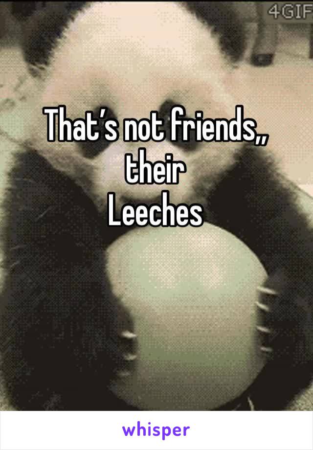That’s not friends,,
their 
Leeches 