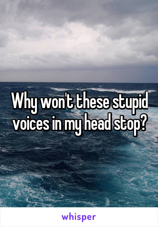 Why won't these stupid voices in my head stop?
