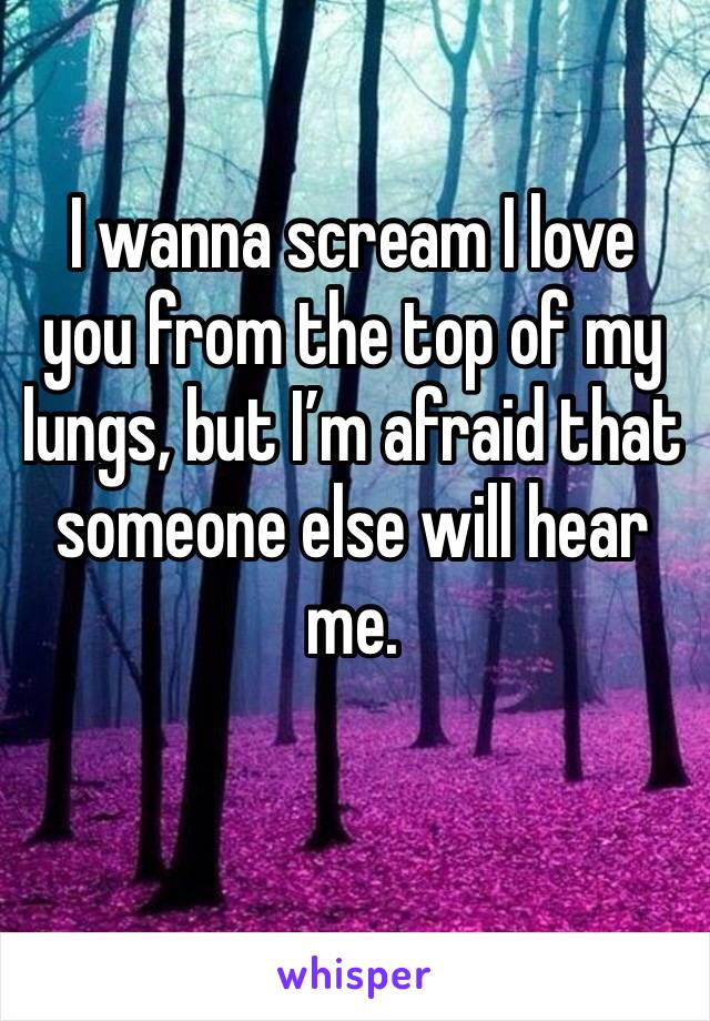 I wanna scream I love you from the top of my lungs, but I’m afraid that someone else will hear me.