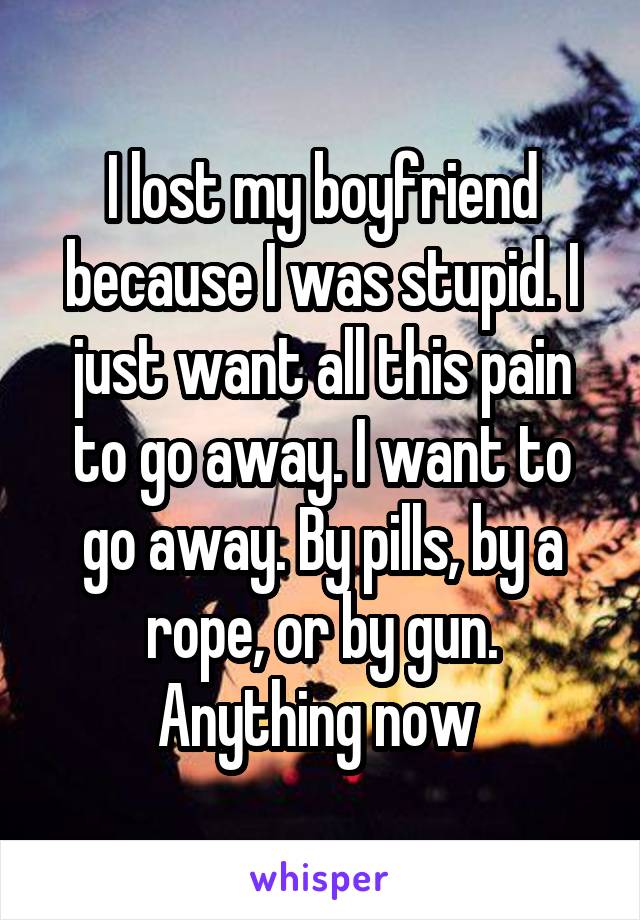 I lost my boyfriend because I was stupid. I just want all this pain to go away. I want to go away. By pills, by a rope, or by gun. Anything now 
