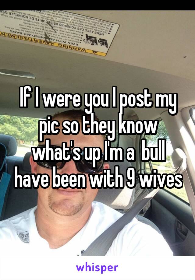 If I were you I post my pic so they know what's up I'm a  bull have been with 9 wives