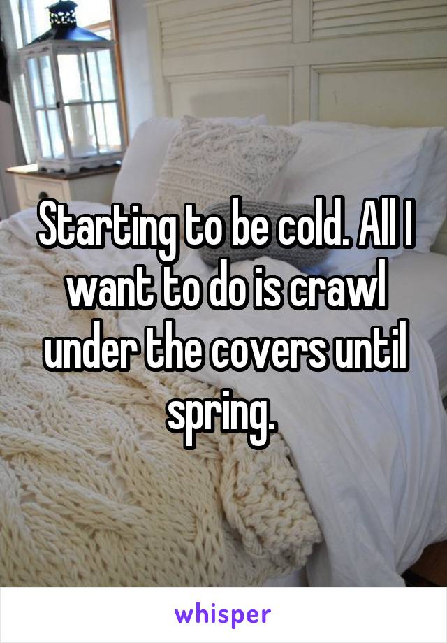 Starting to be cold. All I want to do is crawl under the covers until spring. 
