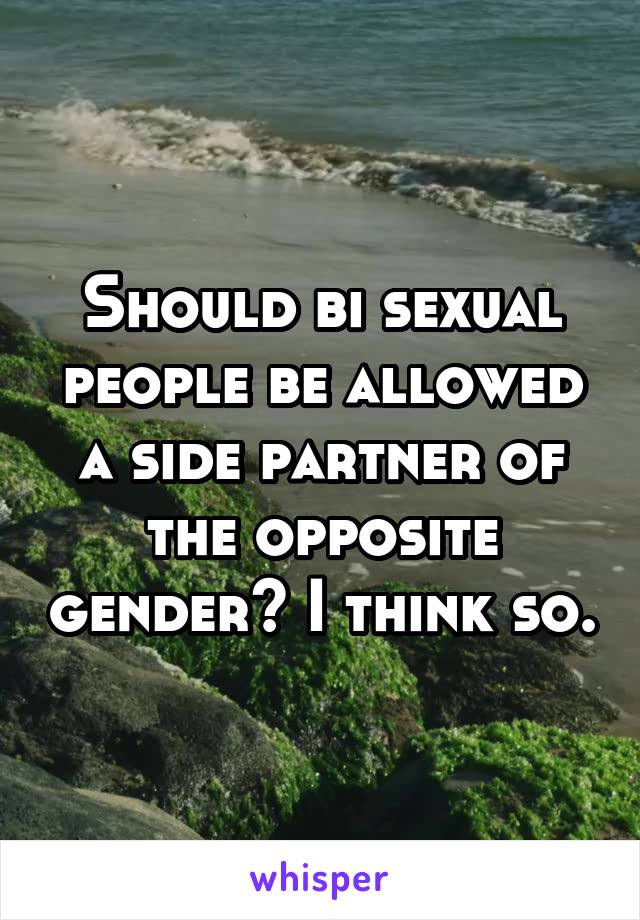 Should bi sexual people be allowed a side partner of the opposite gender? I think so.