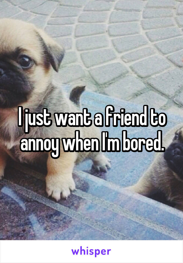 I just want a friend to annoy when I'm bored.