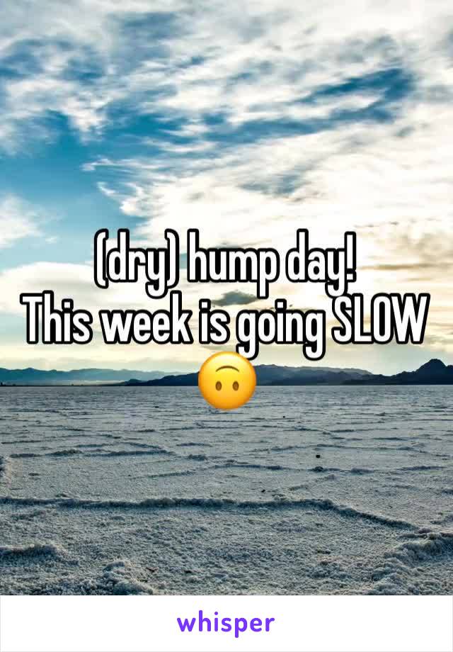 (dry) hump day!
This week is going SLOW 🙃
