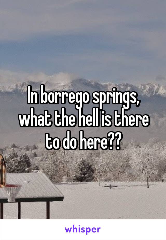 In borrego springs, what the hell is there to do here??