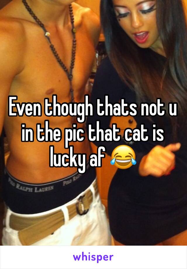 Even though thats not u in the pic that cat is lucky af 😂