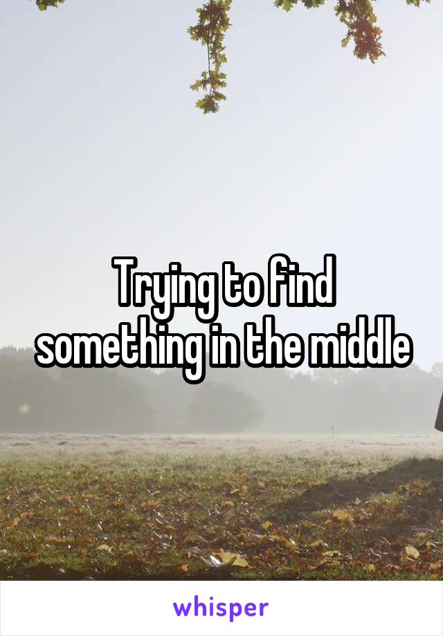 Trying to find something in the middle
