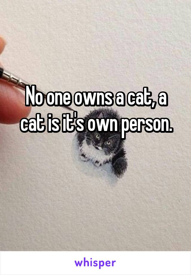 No one owns a cat, a cat is it's own person.

