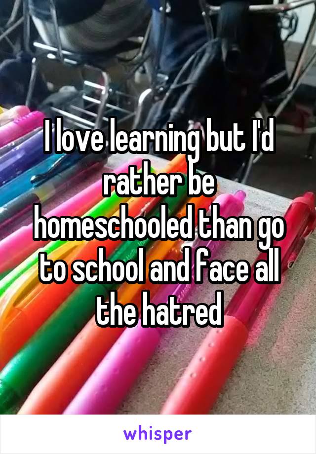 I love learning but I'd rather be homeschooled than go to school and face all the hatred