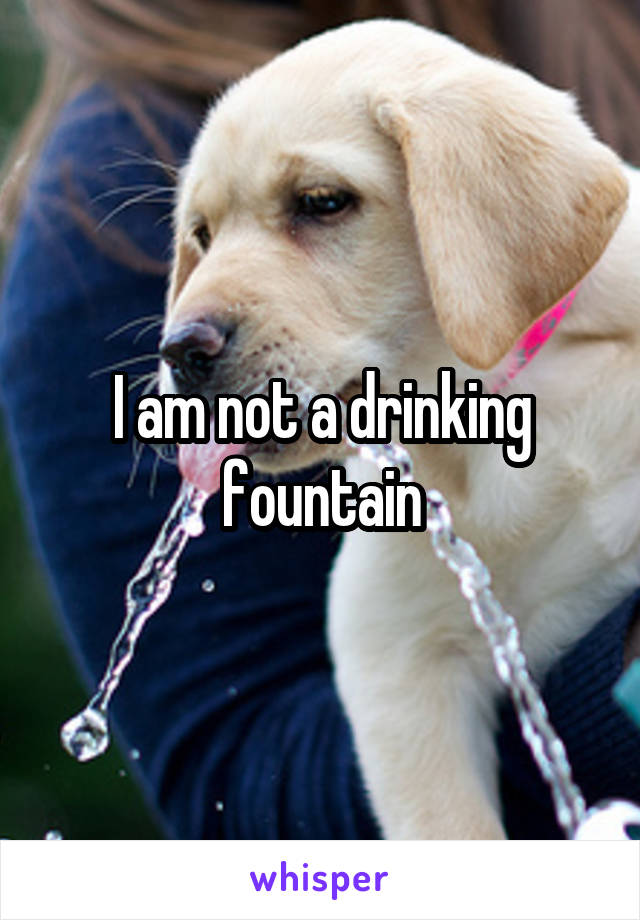 I am not a drinking fountain