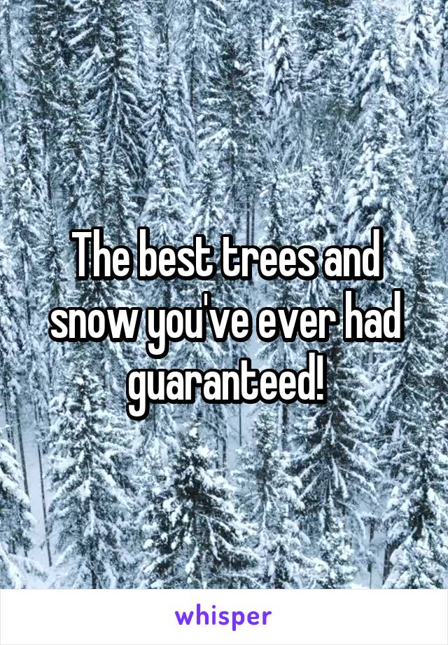 The best trees and snow you've ever had guaranteed!