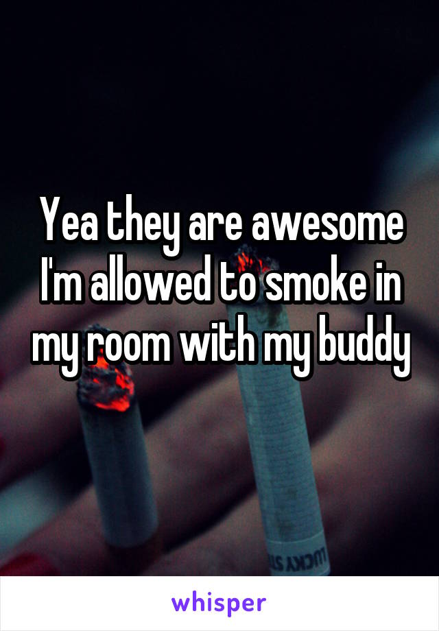 Yea they are awesome I'm allowed to smoke in my room with my buddy 
