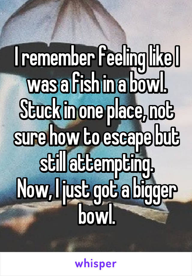 I remember feeling like I was a fish in a bowl. Stuck in one place, not sure how to escape but still attempting.
Now, I just got a bigger bowl.
