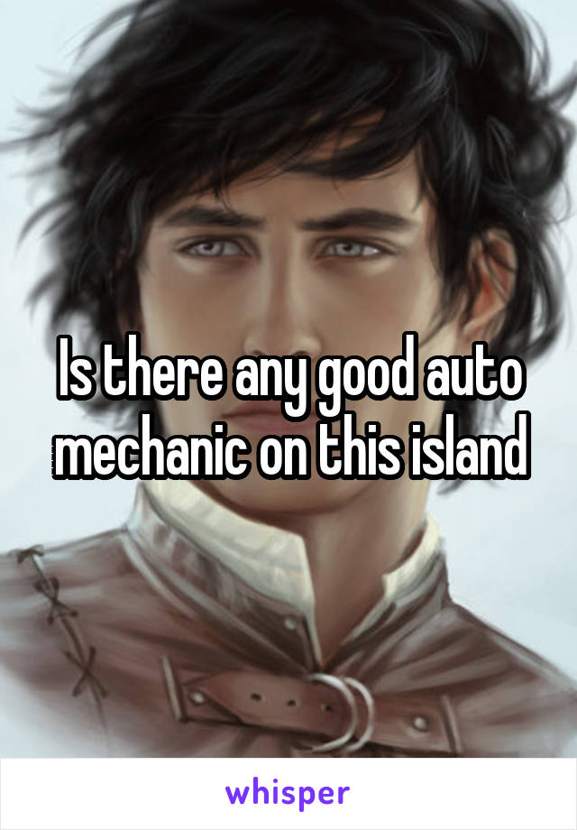 Is there any good auto mechanic on this island