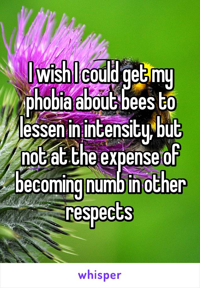I wish I could get my phobia about bees to lessen in intensity, but not at the expense of becoming numb in other respects 