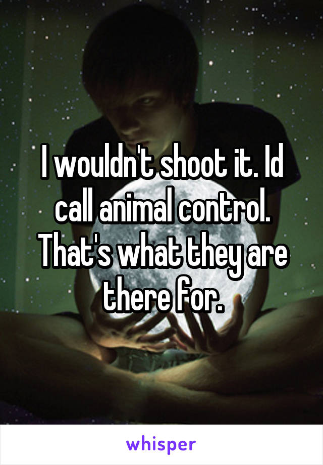I wouldn't shoot it. Id call animal control. That's what they are there for.