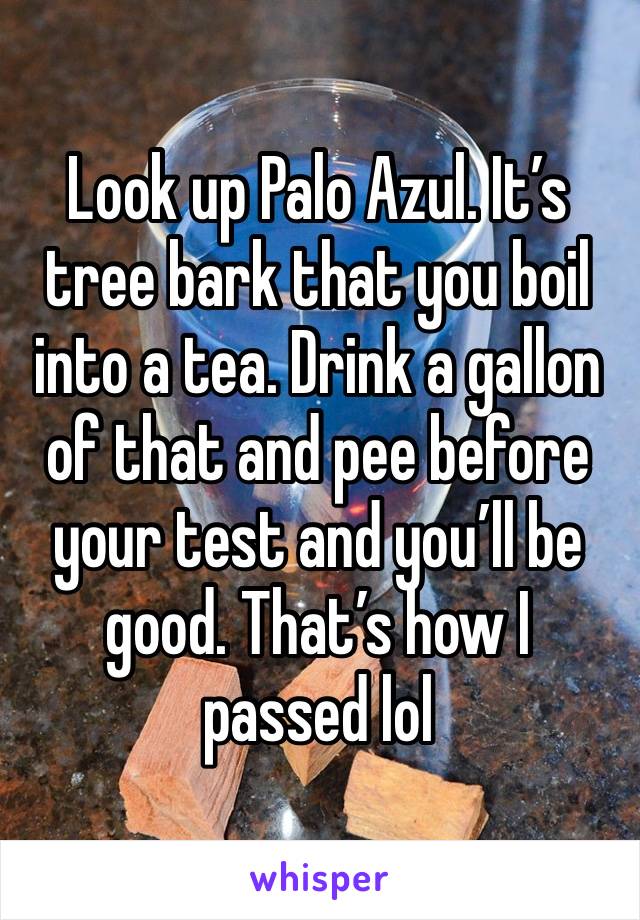 Look up Palo Azul. It’s tree bark that you boil into a tea. Drink a gallon of that and pee before your test and you’ll be good. That’s how I passed lol 