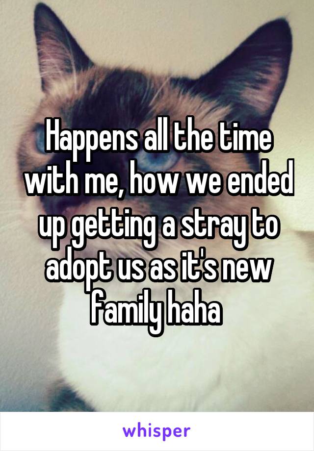 Happens all the time with me, how we ended up getting a stray to adopt us as it's new family haha 