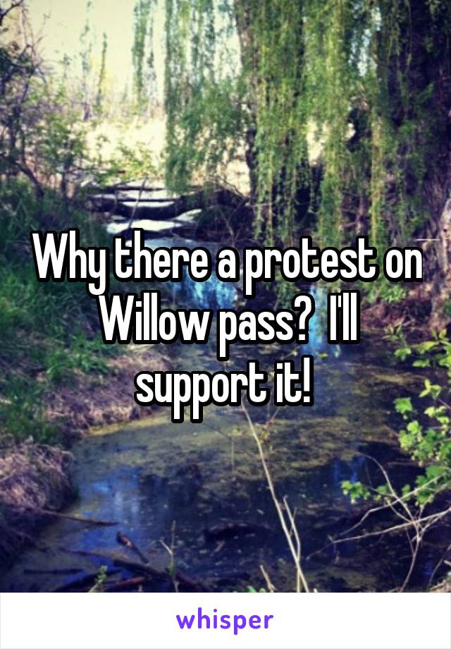 Why there a protest on Willow pass?  I'll support it! 