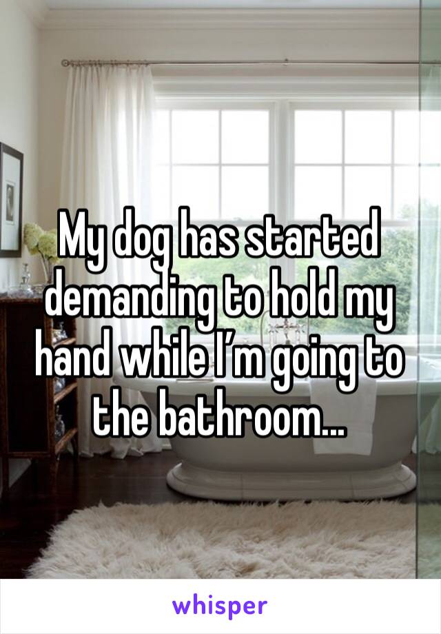 My dog has started demanding to hold my hand while I’m going to the bathroom...