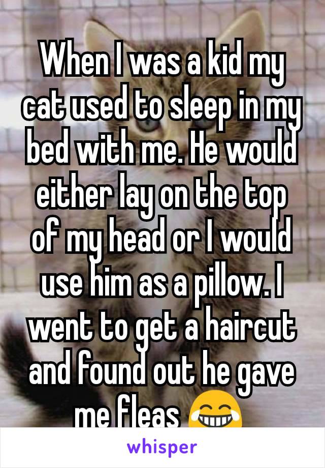 When I was a kid my cat used to sleep in my bed with me. He would either lay on the top of my head or I would use him as a pillow. I went to get a haircut and found out he gave me fleas 😂 