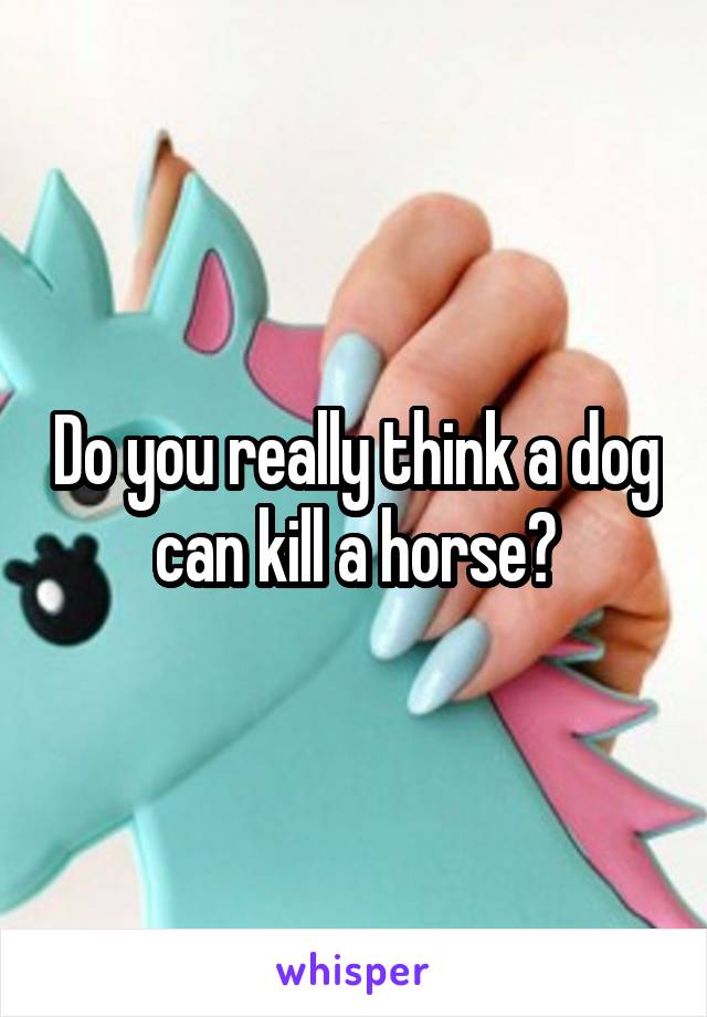 Do you really think a dog can kill a horse?