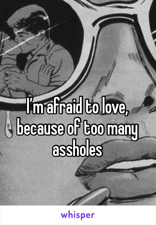 I’m afraid to love, because of too many assholes