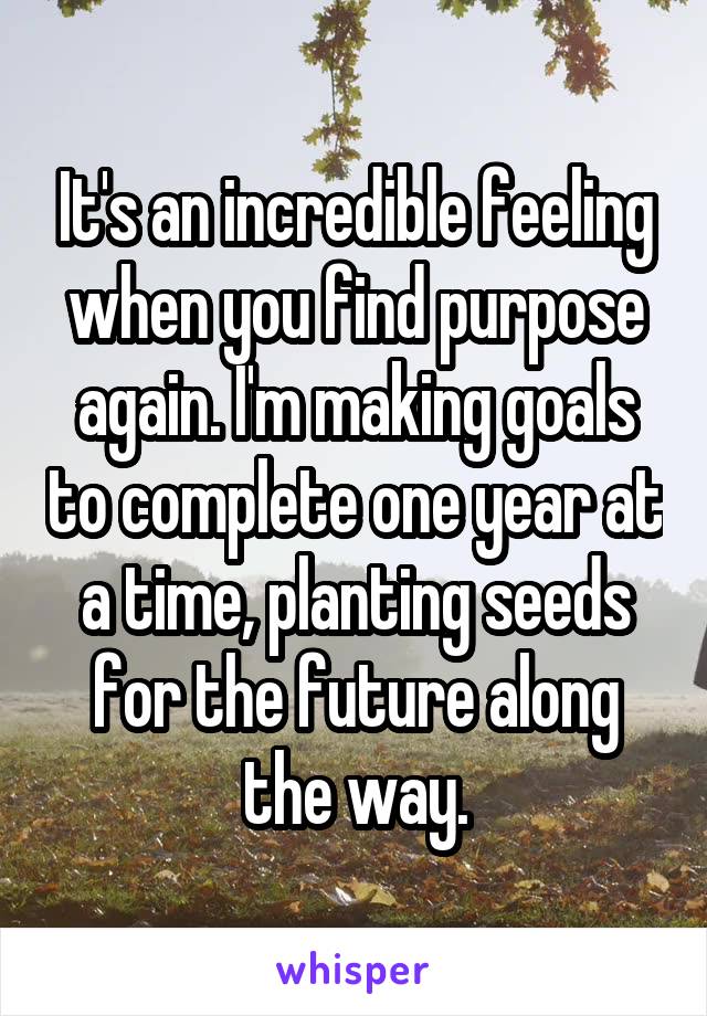 It's an incredible feeling when you find purpose again. I'm making goals to complete one year at a time, planting seeds for the future along the way.