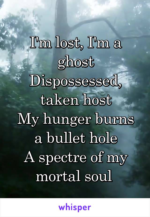 I'm lost, I'm a ghost
Dispossessed, taken host
My hunger burns a bullet hole
A spectre of my mortal soul 