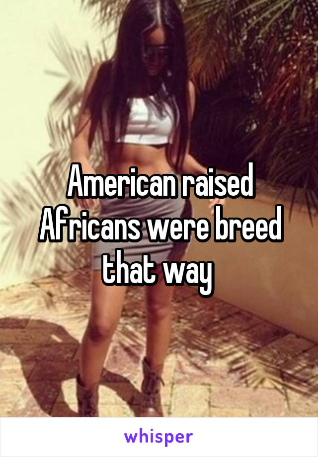 American raised Africans were breed that way 