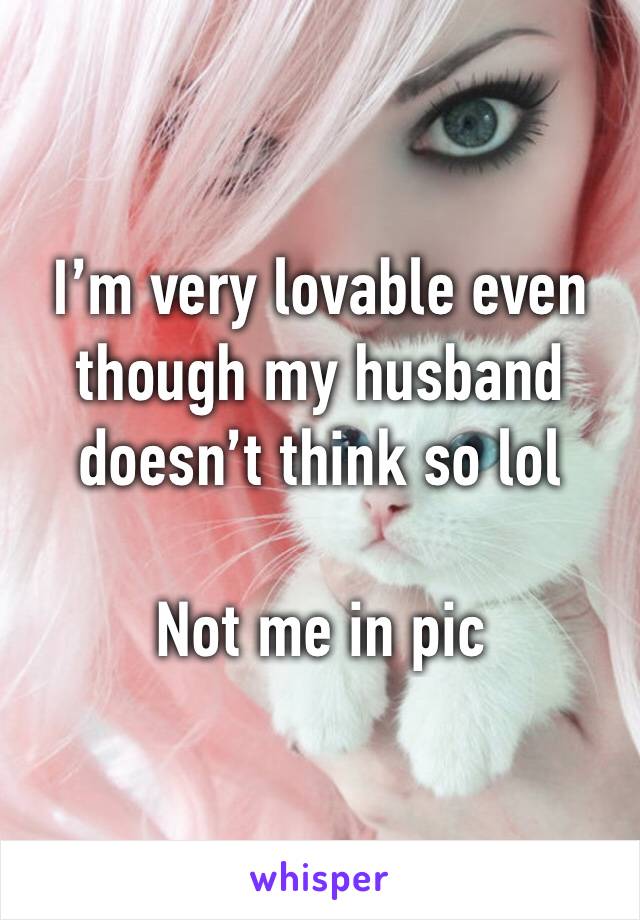 I’m very lovable even though my husband doesn’t think so lol

Not me in pic