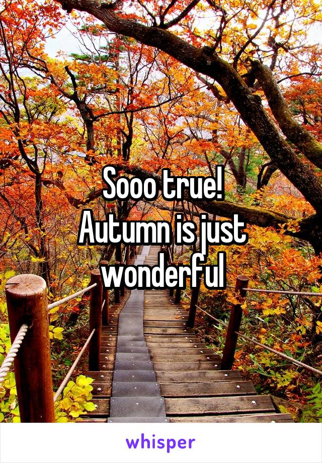 Sooo true!
Autumn is just wonderful