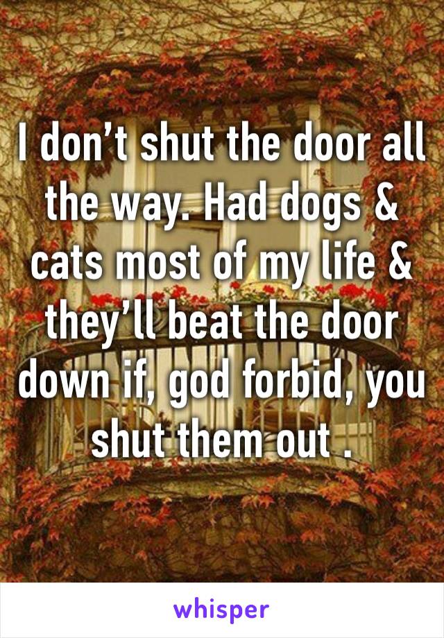 I don’t shut the door all the way. Had dogs & cats most of my life & they’ll beat the door down if, god forbid, you shut them out .