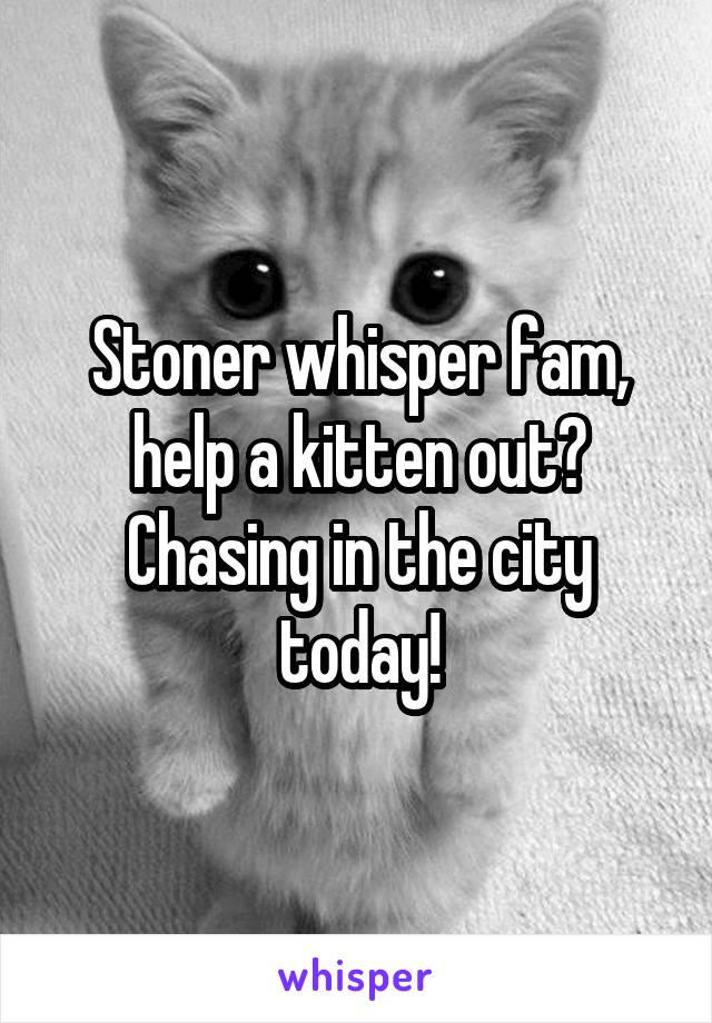 Stoner whisper fam, help a kitten out? Chasing in the city today!