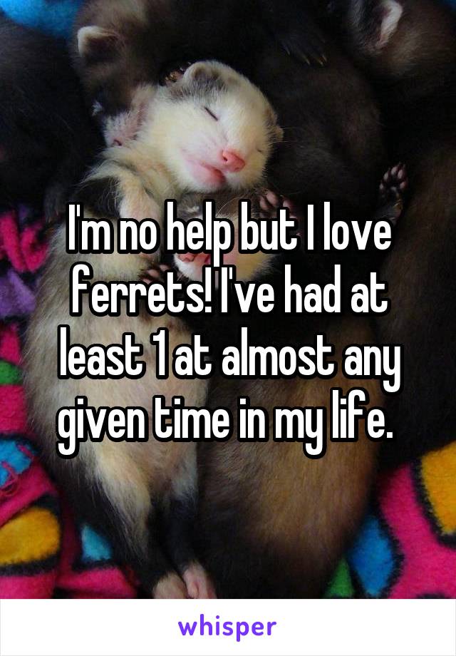 I'm no help but I love ferrets! I've had at least 1 at almost any given time in my life. 