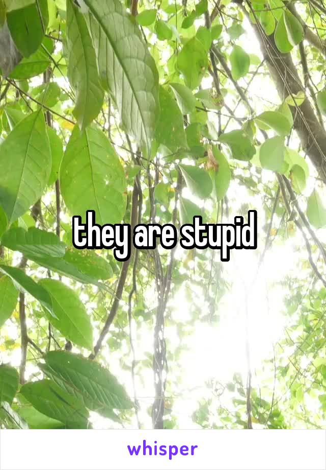 they are stupid